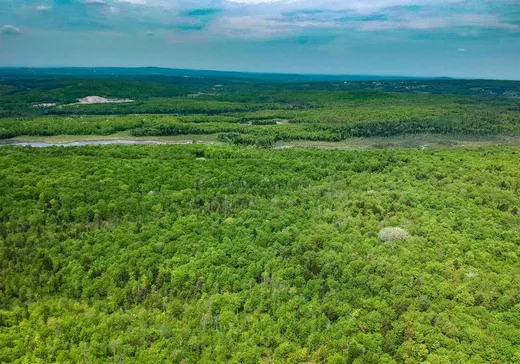 Terrain à vendre -  Rue de Rennes, Eastman, J0E 1P0