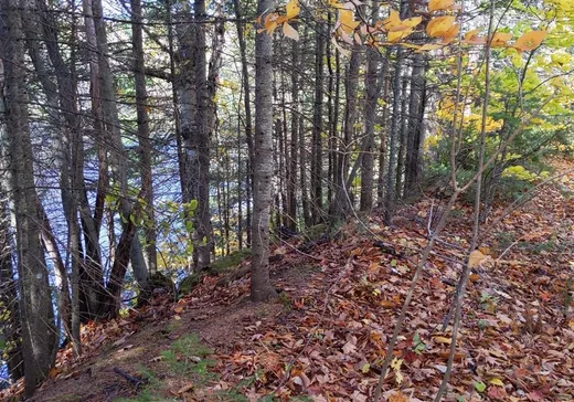 Terrain à vendre -  4e Rang, Ste-Julienne, J0K2T0