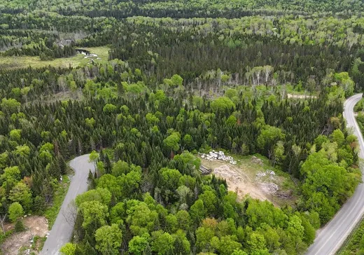 Terrain à vendre -  Ch. du Lac-Baribeau, St-Donat-De-Montcalm, J0T 2C0