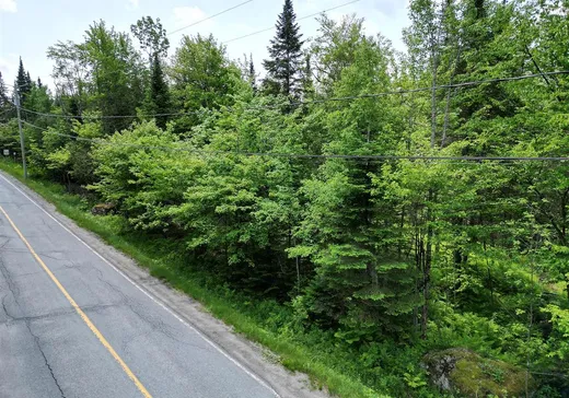 Terrain à vendre - 14 Rue Bordeleau, Magog, J1X 0M9