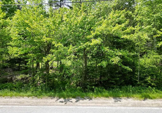 Terrain à vendre - 14 Rue Bordeleau, Magog, J1X 0M9