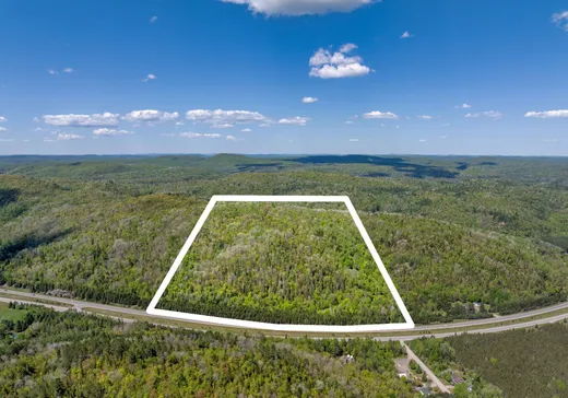 Land for sale - 51B Route 117, Mont-Tremblant, J0T1M0