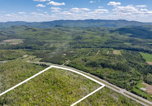 Land for Sale - 51B Route 117, Mont-Tremblant, J0T 1M0