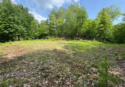Land for Sale -  Ch. du Lac-à-la-Truite, La Minerve, J0T 1S0
