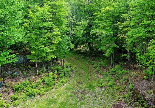 Land for Sale -  Ch. du Lac-à-la-Truite, La Minerve, J0T 1S0