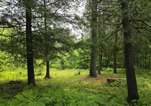 Terrain à vendre -  Ch. Lamoureux, Ste-Julienne, J0K2T0