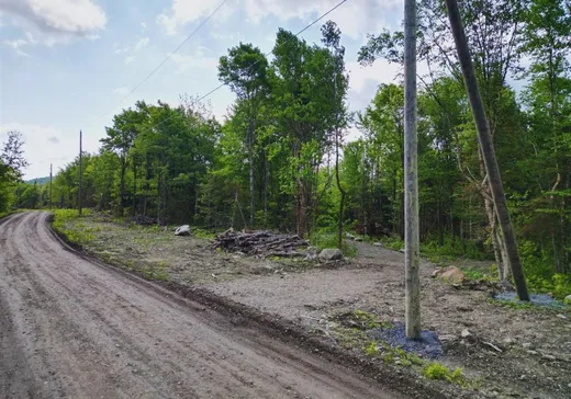 Land for sale -  1er Rang, Notre-Dame-Des-Boies, J0B2E0