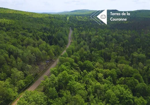 Land for Sale -  1er Rang, Notre-Dame-Des-Boies, J0B 2E0