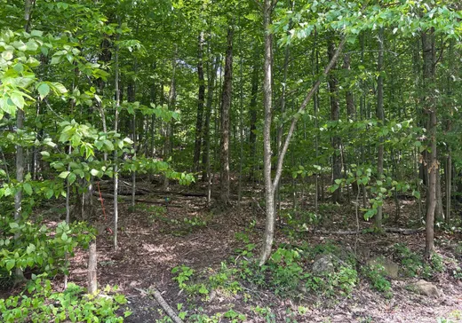 Land for Sale -  Ch. des Cèdres, Ste-Anne-Des-Lacs, J0R 1B0