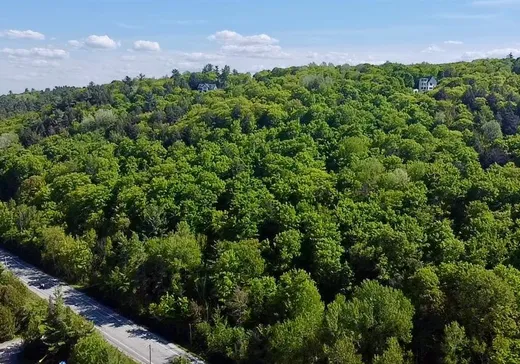 Terrain à vendre - 1031 Route 105, Chelsea, J9B2A7