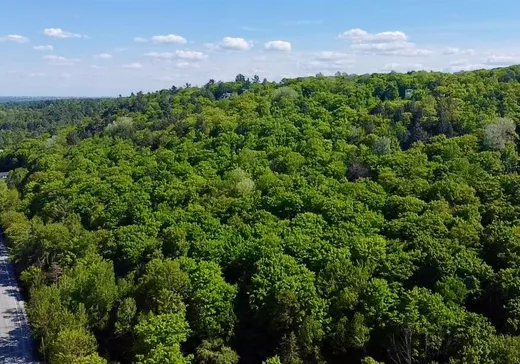 Terrain à vendre - 1031 Route 105, Chelsea, J9B 2A7