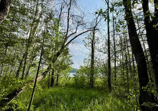 Terrain à vendre - 13 Ch. Tierney S., La Pêche, J0X 7W0
