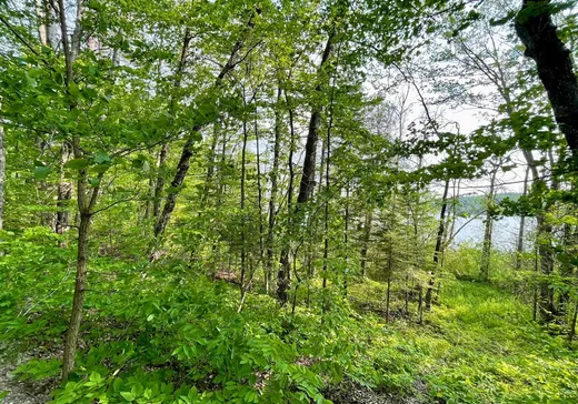 Terrain à vendre - 13 Ch. Tierney S., La Pêche, J0X 7W0