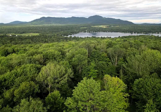 Terrain à vendre - 1 9e Rue, Eastman, J0E1P0