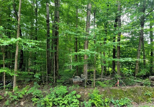 Terrain à vendre - 1 9e Rue, Eastman, J0E 1P0