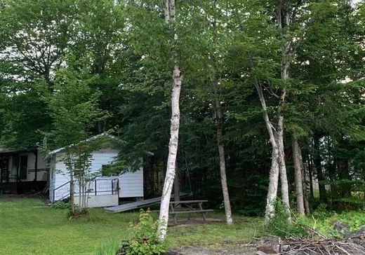 Terrain à vendre - 5663 Ch. Létourneau, Disraeli, G0M 1H1