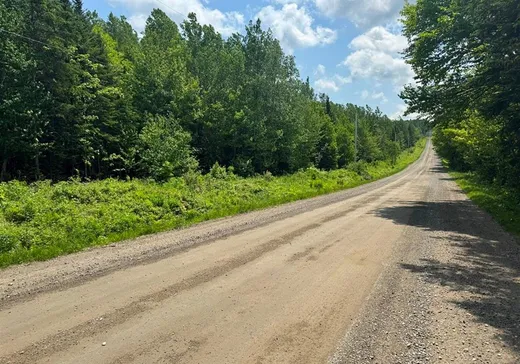 Terrain à vendre -  Rg de la Colonie, Lac-Mégantic, G0Y 1E1