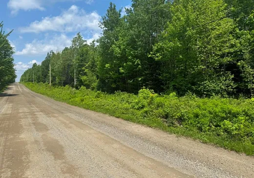 Terrain à vendre -  Rg de la Colonie, Lac-Mégantic, G0Y 1E1