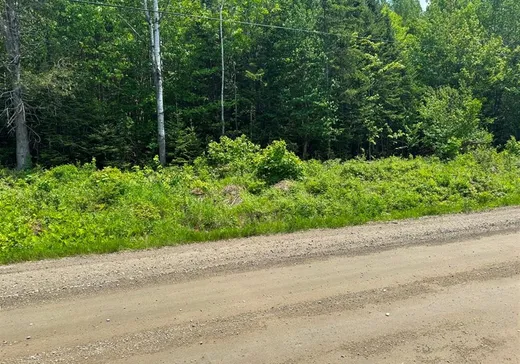 Terrain à vendre -  Rg de la Colonie, Lac-Mégantic, G0Y 1E1
