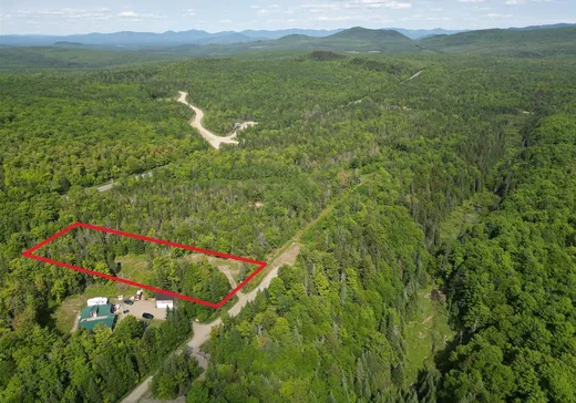 Terrain à vendre - 162 Ch. du Caribou, Notre-Dame-Des-Boies, J0B 2E0
