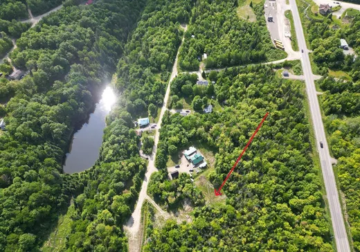 Terrain à vendre - 162 Ch. du Caribou, Notre-Dame-Des-Boies, J0B 2E0