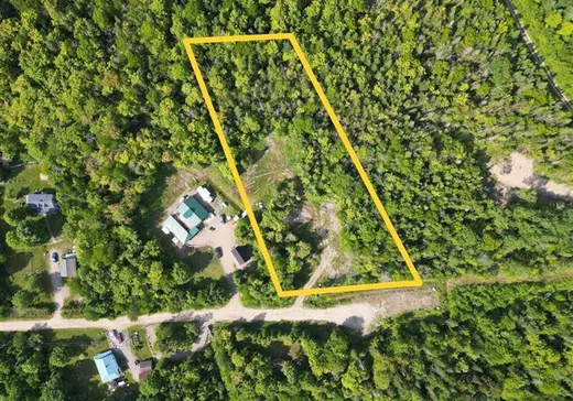 Terrain à vendre - 162 Ch. du Caribou, Notre-Dame-Des-Boies, J0B 2E0