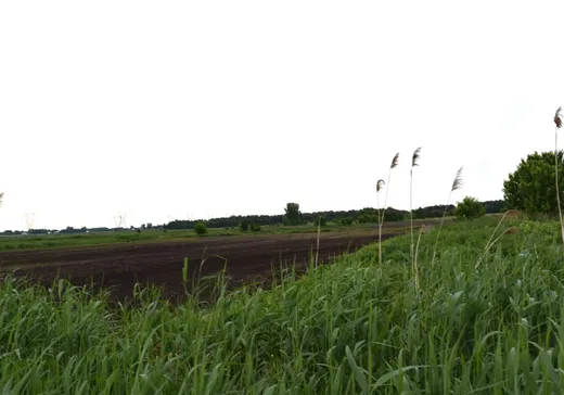 Terrain à vendre -  Rg Brodeur, St-Germain-De-Grantham, J0C1J0