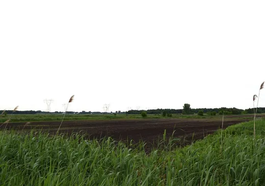 Terrain à vendre -  Rg Brodeur, St-Germain-De-Grantham, J0C 1J0