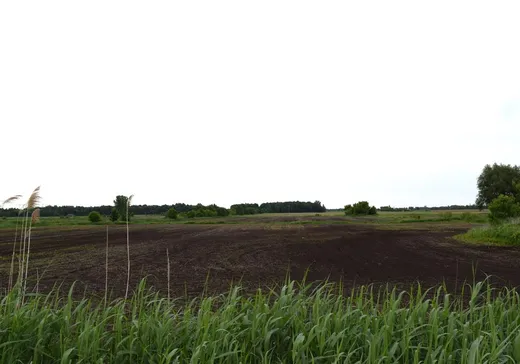 Terrain à vendre -  Rg Brodeur, St-Germain-De-Grantham, J0C 1J0