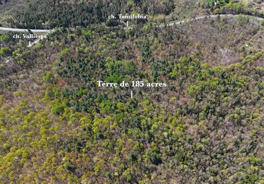 Terrain à vendre -  Ch. de Tomifobia, Canton De Stanstead, J1X 3W4