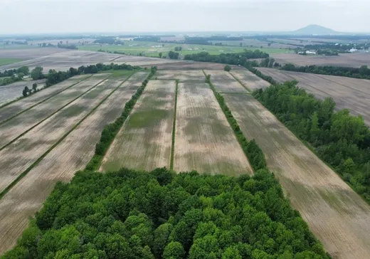 Terrain à vendre -  Rg de Versailles, Mont-Saint-Grégoire, J0J 1K0