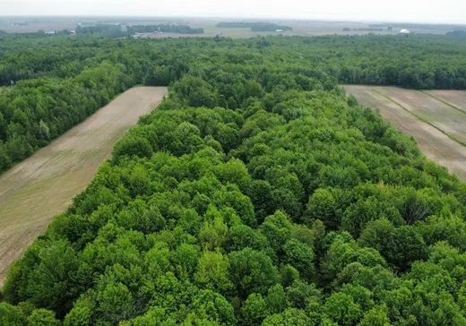 Terrain à vendre -  Rg de Versailles, Mont-Saint-Grégoire, J0J 1K0