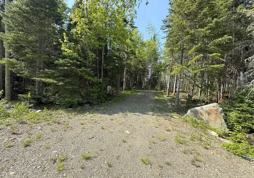 Land for sale - 118 Ch. du Corbeau, Notre-Dame-Des-Boies, J0B2E0