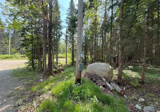 Land for Sale - 118 Ch. du Corbeau, Notre-Dame-Des-Boies, J0B 2E0