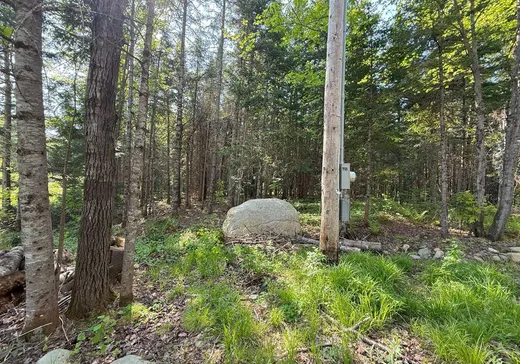 Land for Sale - 118 Ch. du Corbeau, Notre-Dame-Des-Boies, J0B 2E0