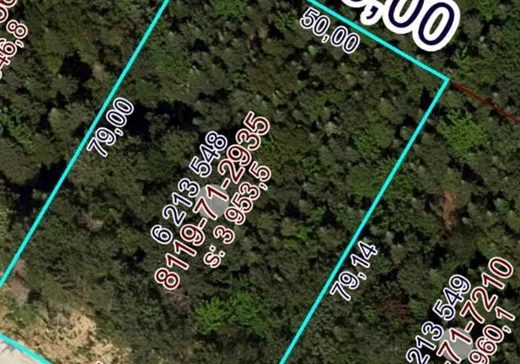 Land for sale -  Ch. du Boisé, St-Tite-Des-Caps, G0A4J0