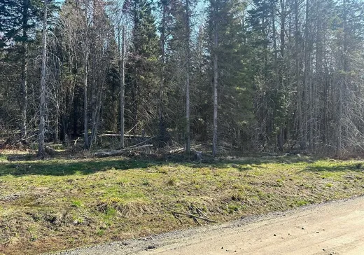 Land for sale -  Ch. du Boisé, St-Tite-Des-Caps, G0A4J0