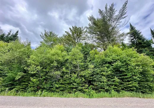 Land for sale -  Rue de la Cédrière, Val David, J0T2N0