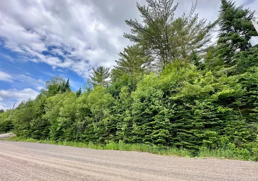 Land for Sale -  Rue de la Cédrière, Val David, J0T 2N0