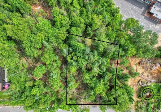 Terrain à vendre -  Rue Ernest-Brousseau, Val David, J0T 2N0
