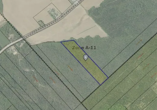 Terrain à vendre -  Route Philomène-Thibodeau, St-Alban, G0A3B0