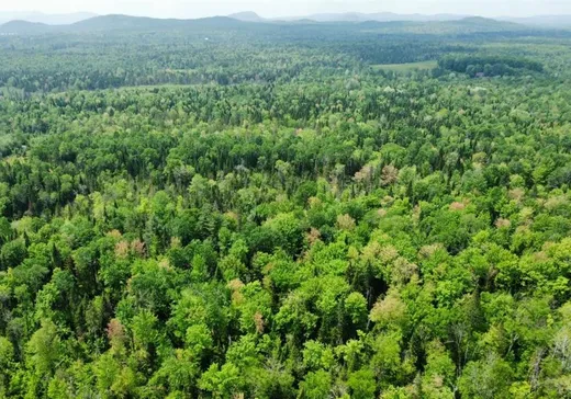 Land for Sale -  Ch. Laliberté, Sherbrooke, J1R 0C5