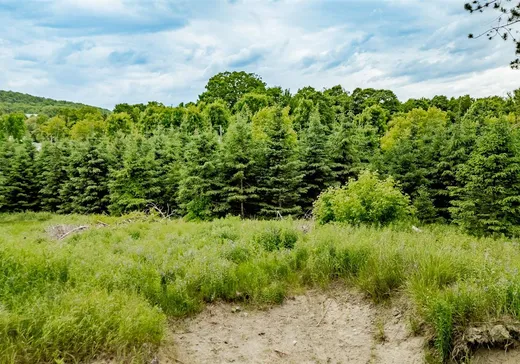 Terrain à vendre - 55 Rue des Pommiers, Dixville, J0B 1P0
