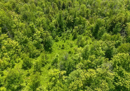 Terrain à vendre -  Rue du Plateau, Magog, J1X 0M7