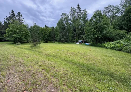 Terrain à vendre -  Ch. du Lac-Labelle, Mont-Tremblant, J0T 1H0