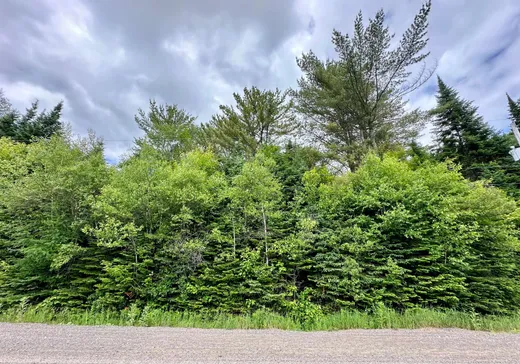 Terrain à vendre - Rue de la Cé Rue de la Cédrière, Val David, J0T 2N0