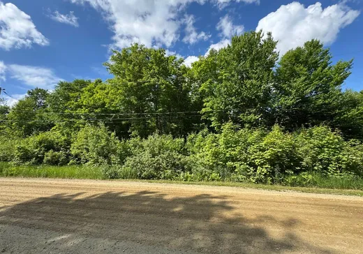 Terrain à vendre -  Ch. de l'Aigle, Notre-Dame-Des-Boies, J0B 2E0