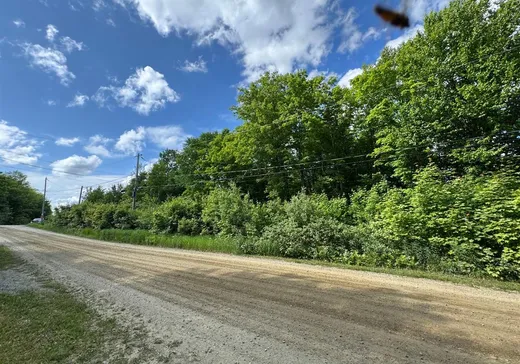 Terrain à vendre -  Ch. de l'Aigle, Notre-Dame-Des-Boies, J0B 2E0