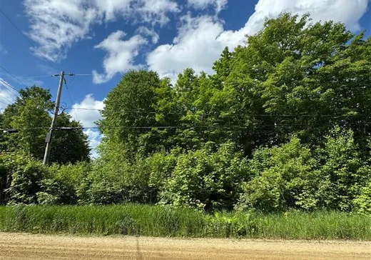 Terrain à vendre -  Ch. de l'Aigle, Notre-Dame-Des-Boies, J0B 2E0