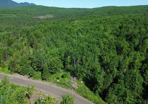 Terrain à vendre -  1er Rang, App. 102, Notre-Dame-Des-Boies, J0B 2E0